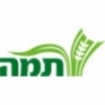 תמה