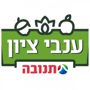 ענבי ציון